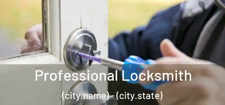  Professional Locksmith (city.name) - (city.state)